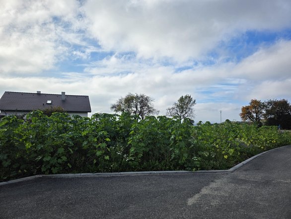 Flst. Nr. 2202, 639 m²