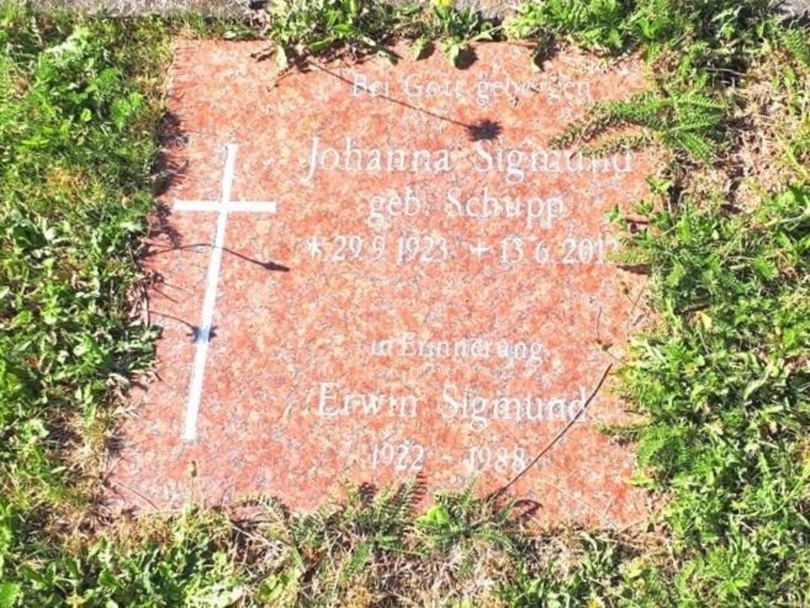 Sargrasenwahlgrab Weisbach