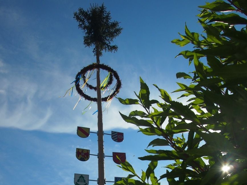 Strümpfelbrunner Maibaum